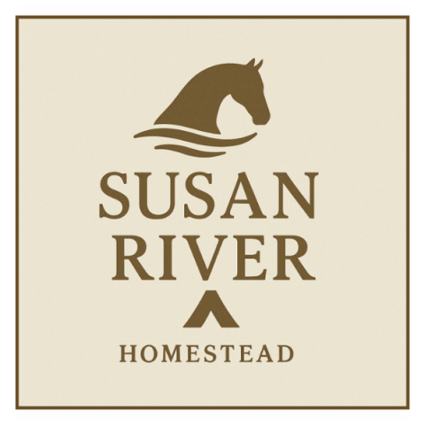 Untitled design – 2025-10-22T132139.247