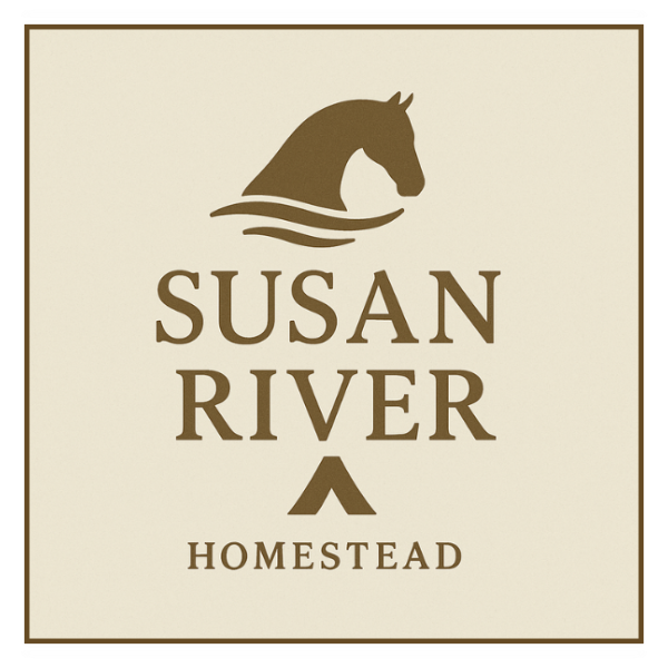 Untitled design – 2025-10-22T132139.247