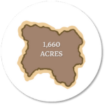 Your paragraph text (6)