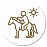 Your paragraph text (7)