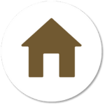 Your paragraph text (8)