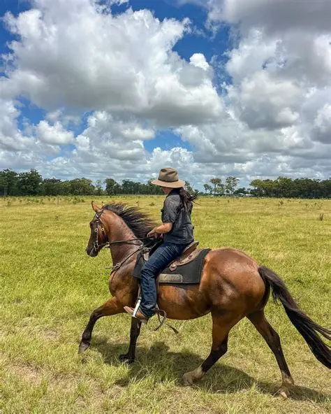 Morning Tea Horse Ride 1