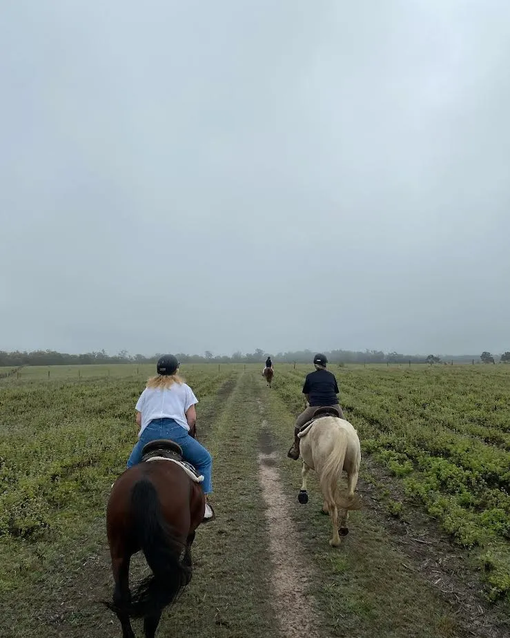 Powered Site Camping 1